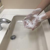 写真：正しい手洗いの仕方5