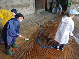 写真：シマウマ舎の掃除をする様子