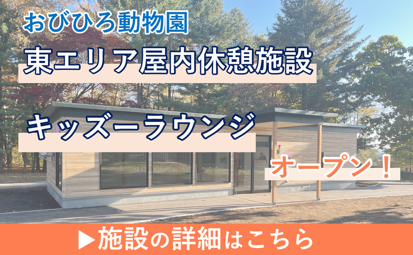 おびひろ動物園　東エリア屋内休憩施設「キッズーラウンジ」　オープン！