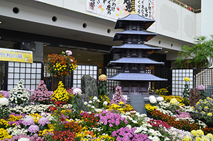 写真：「五重塔と令和の庭」をテーマにした総合花壇の様子