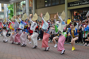写真：全道阿波踊り大会の様子2