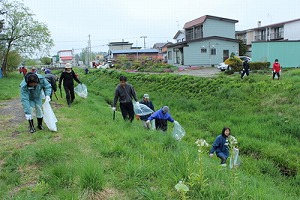 写真：全市一斉河川清掃の様子3