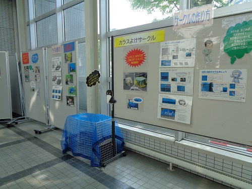 からすよけサークルの画像