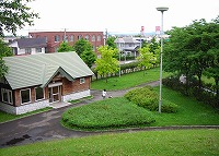 写真:白樺公園1