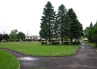 写真:白樺公園3