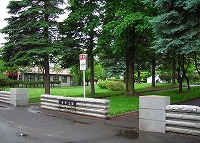 写真:白樺公園4