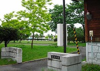 写真:白樺公園5