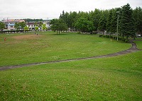 写真:白樺公園6