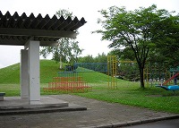 写真:白樺公園7