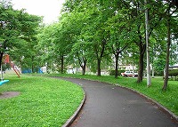 写真:白樺公園8
