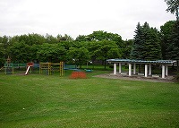 写真:白樺公園9