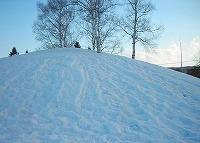 写真:白樺公園10