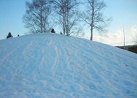 写真：白樺公園10