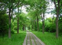 写真：西町公園