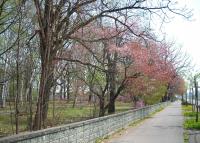 写真:西町公園3