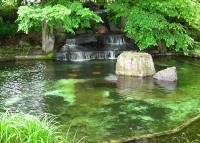 写真:はるにれ公園3