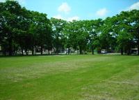 写真:東公園4