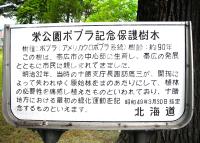 写真:さかえ公園6