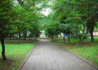 写真:大空公園8