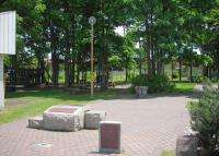写真:あかしや公園4