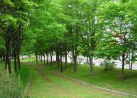 写真:中央公園4