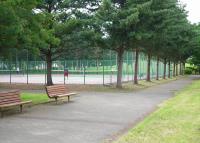 写真:西帯広公園4