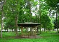 写真:西帯広公園6