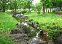 写真:西帯広公園7
