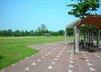 写真:治水の森公園2