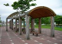 写真:治水の森公園4