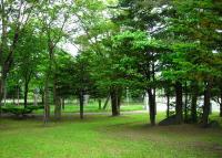写真:中島公園5