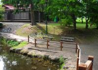 写真:津田公園6
