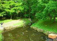 写真:津田公園7