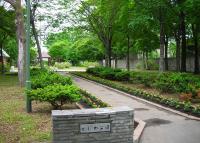 写真:かしわ児童公園1