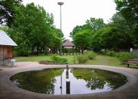 写真:かしわ児童公園2