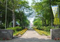 写真:かしわ児童公園4