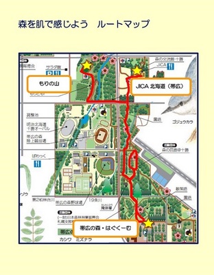 地図：森を肌で感じよう　ルートマップ