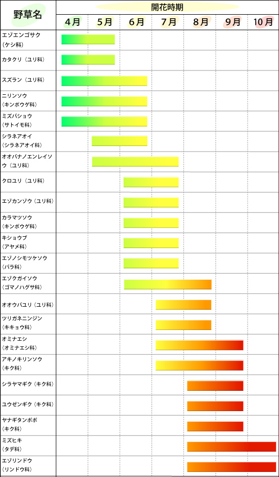 イラスト：野草園に自生する主な野草の開花時期一覧表
