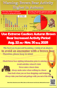 Warning:Brown Bear Activity Higher in Autumn