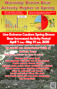 Warning:Brown Bear Activity Higher in Spring