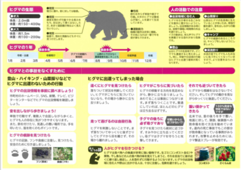 リーフレット：あなたとヒグマの共存のために（表）