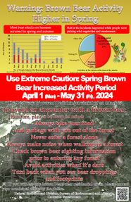 Warning:Brown Bear Activity Higher in Autumn