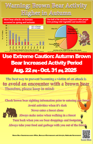 Warning:Brown Bear Activity Higher in Autumn