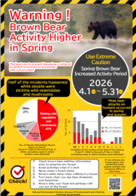Warning:Brown Bear Activity Higher in Spring