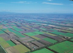 写真：農村地域