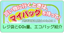 買い物に行くときは、マイバッグを持って！「地球温暖化」防止のために！レジ袋とCO2量、エコバッグ紹介