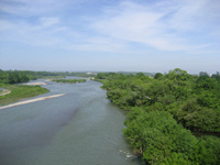 写真：平原大橋3