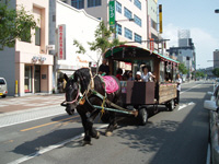 写真：馬車