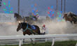 写真：ばんえい競馬