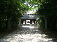 写真：帯広神社1